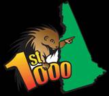 First_1000