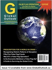 Global Outlook, Issue 13